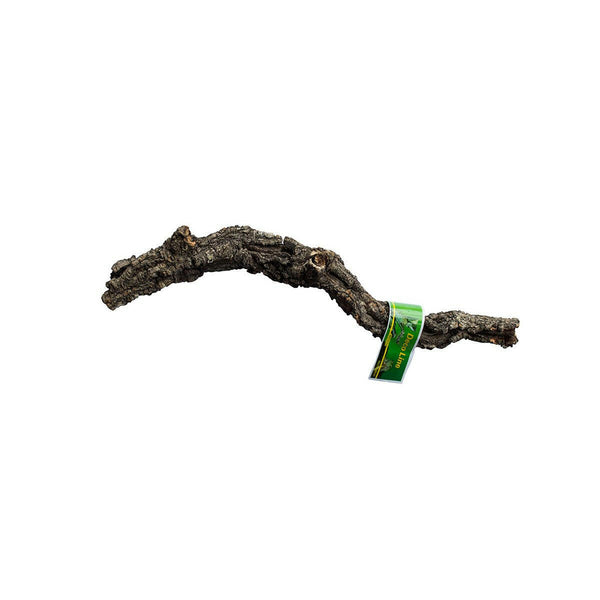 Lucky Reptile Tronchos Cork Branch 40-60 cm - Charterhouse Aquatics