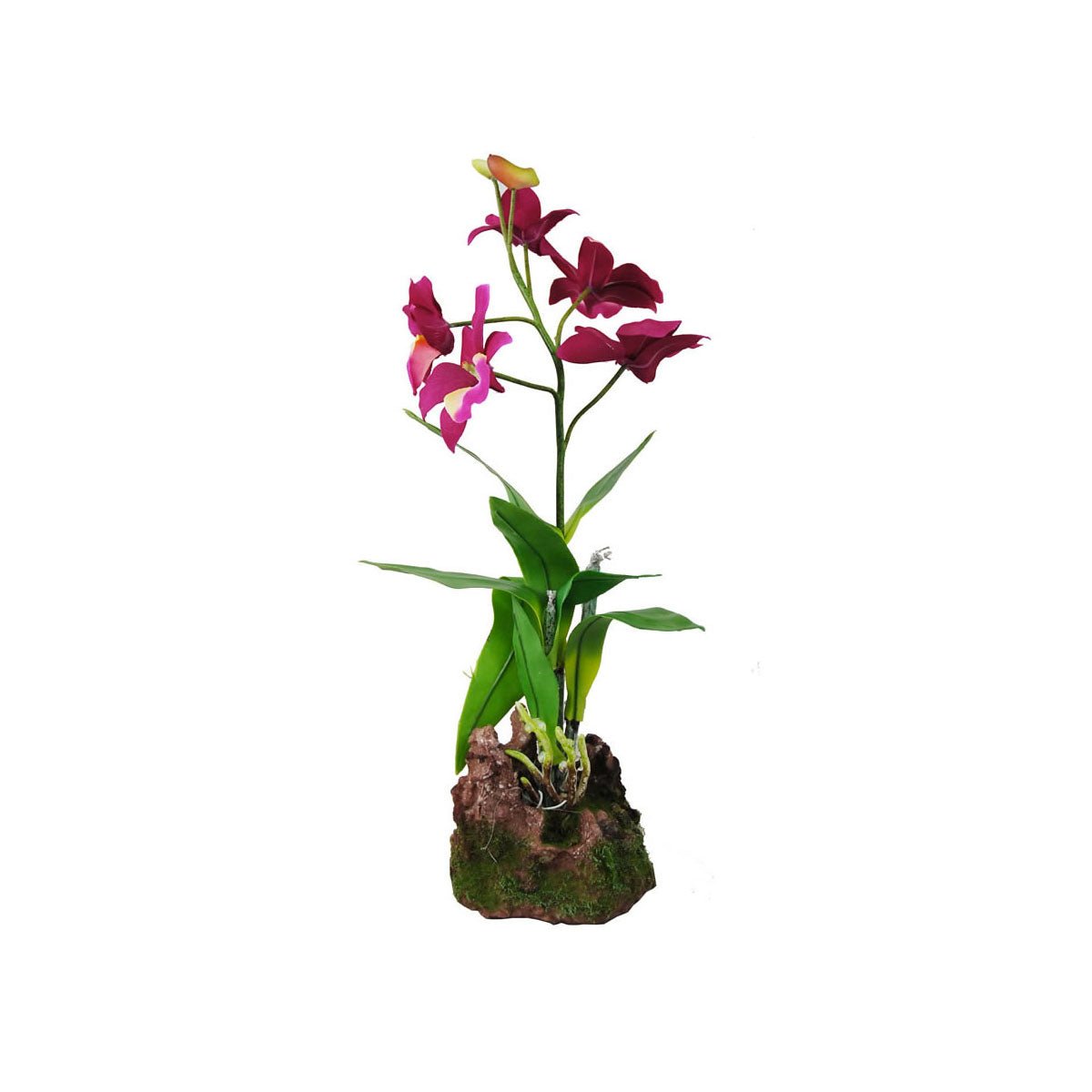 Lucky Reptile Upright Orchid Purple 35cm - Charterhouse Aquatics