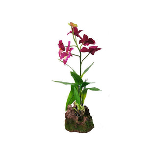 Lucky Reptile Upright Orchid Purple 35cm - Charterhouse Aquatics