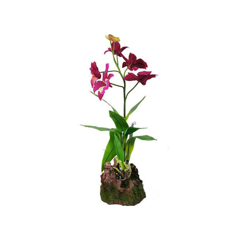 Lucky Reptile Upright Orchid Purple 35cm - Charterhouse Aquatics