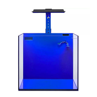 Maxspect Dice AIO Nano Aquarium - Charterhouse Aquatics