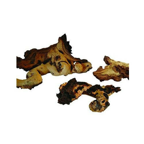 Mopani Wood - Small - Charterhouse Aquatics