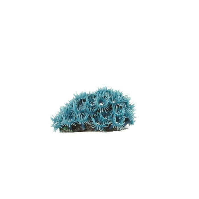 Natureform Artificial Button Polyp Colony Blue - Palythoa 8.5 x 6.5 x 5cm - Charterhouse Aquatics