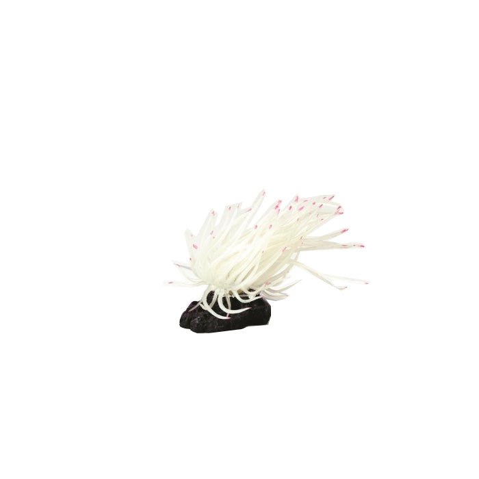 Natureform Artificial Caribbean Anemone White 5.5 x 4.5 x 10cm - Charterhouse Aquatics