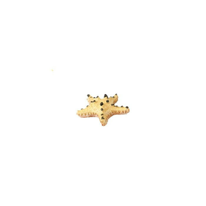 Natureform Artificial Choc Chip Starfish 6 x 6 x 1.5cm - Charterhouse Aquatics