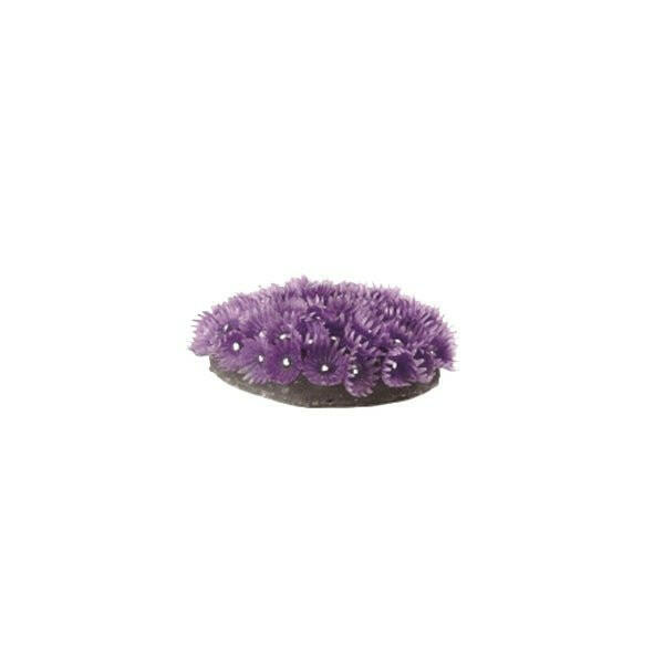 Natureform Artificial Coloured Polyp Colony Purple - Zoanthus 10 x 9 x 5cm - Charterhouse Aquatics