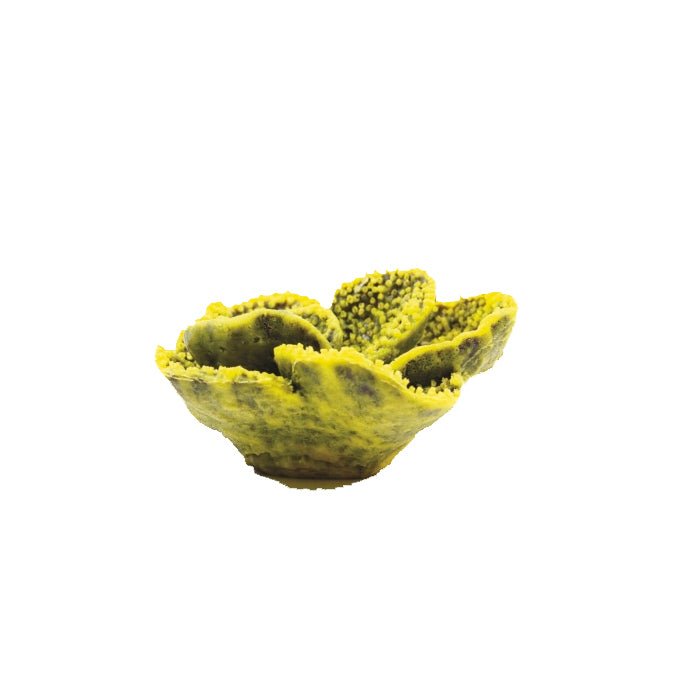 Natureform Artificial Cup Yellow/Purple - Tubinaria 15.5 x 15.5 x 7.5cm - Charterhouse Aquatics