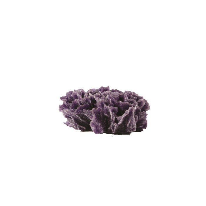 Natureform Artificial Lettuce Purple - Pavona 13.5 x 10 x 6cm - Charterhouse Aquatics