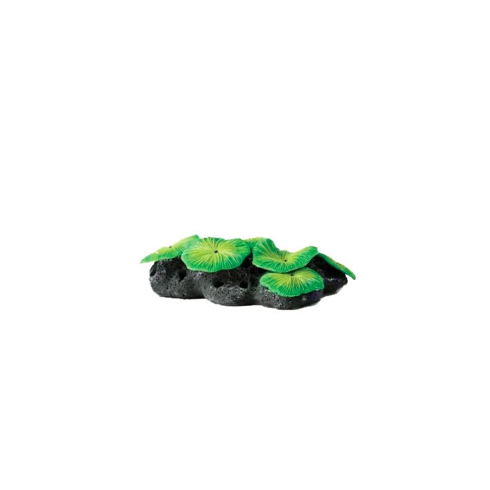 Natureform Artificial Mushroom Colony Green Discosoma 11 x 7.5 x 3.5cm - Charterhouse Aquatics