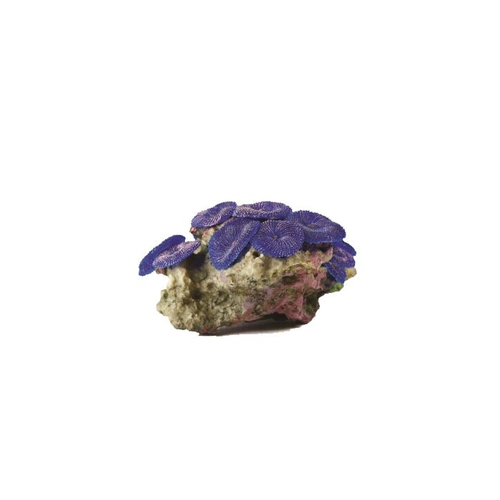 Natureform Artificial Mushroom Colony Purple - Discosoma 14.5 x 11.5 x 8cm - Charterhouse Aquatics