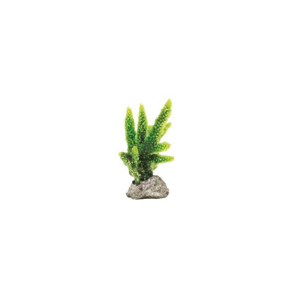 Natureform Artificial Staghorn Green Acropora 8 x 6.5 x 8cm - Charterhouse Aquatics