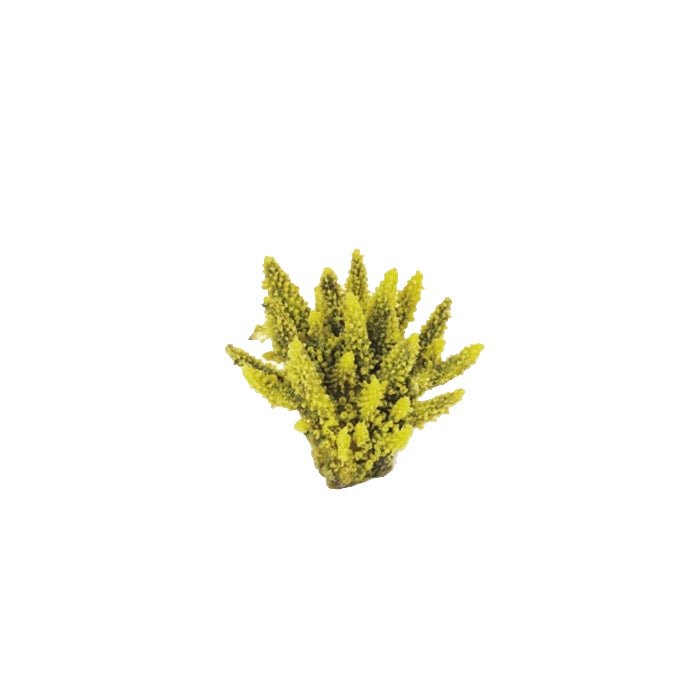 Natureform Artificial Staghorn Yellow/Purple Acropora 12 x 10 x 7cm - Charterhouse Aquatics