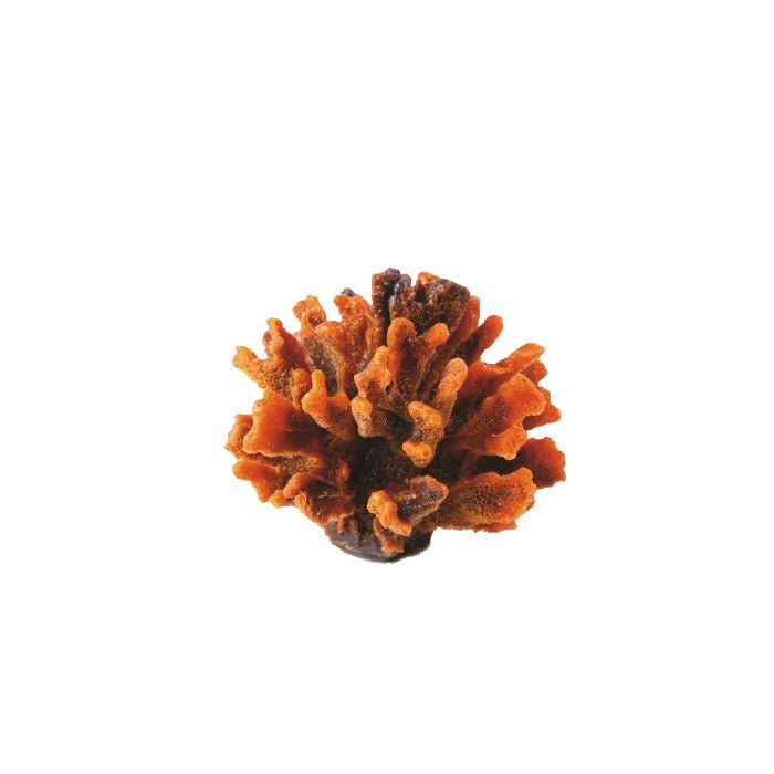 Natureform Artificial Thorn Orange - Stylophora 13.5 x 13.5 x 10cm - Charterhouse Aquatics