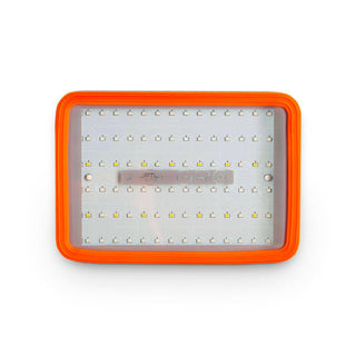 Neptune Systems GRO - Refugium Light with Pipe Bracket Mount - Charterhouse Aquatics