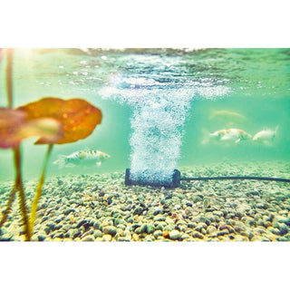 Oase AquaOxy Aerator Bar S - Charterhouse Aquatics