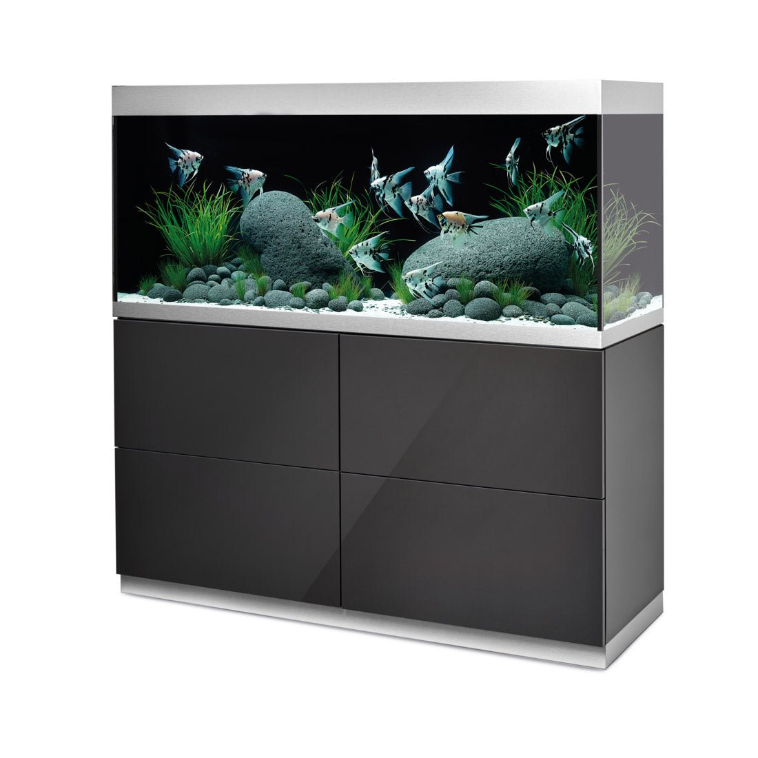 Oase Highline 400 Anthracite Optiwhite Aquarium and Cabinet - Charterhouse Aquatics