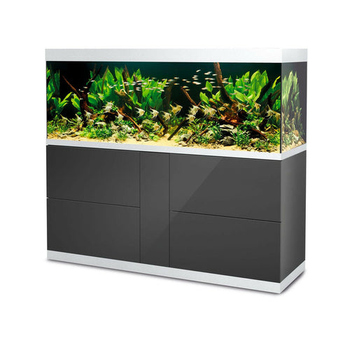 Oase Highline 600 Anthracite Optiwhite Aquarium and Cabinet - Charterhouse Aquatics
