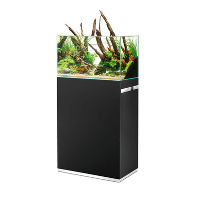 Oase ScaperLine 60 Black Optiwhite Aquarium and Cabinet - Charterhouse Aquatics