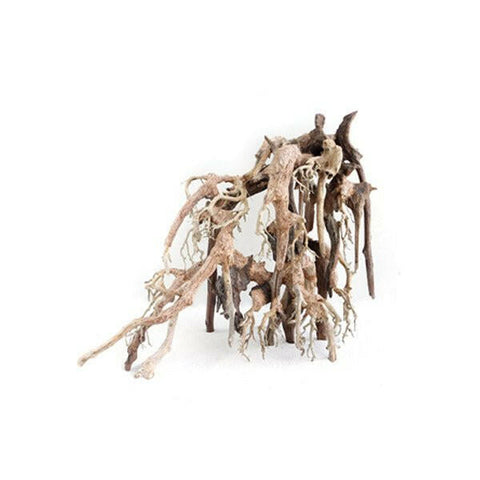 Octopus Wood Height 15-18cm Length 20-22cm - Charterhouse Aquatics