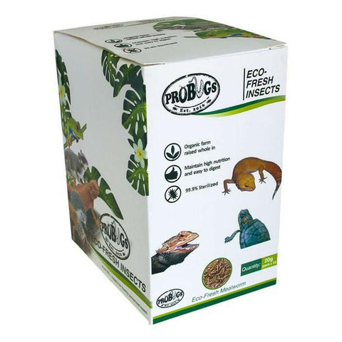 ProBugs Eco Fresh Mealworms 20g - 10 Packs - Charterhouse Aquatics