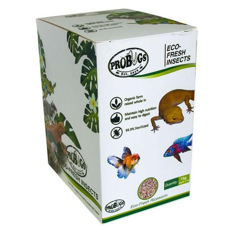 ProBugs Eco Fresh Riceworms 15g - 10 Packs - Charterhouse Aquatics