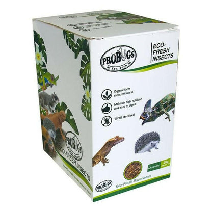 ProBugs Eco Fresh Superworms 20g - 10 Packs - Charterhouse Aquatics