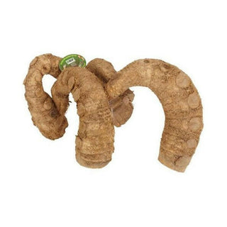 ProRep Bamboo Root Jungle Gym Premium - Charterhouse Aquatics