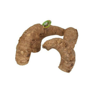 ProRep Bamboo Root Jungle Gym Regular - Charterhouse Aquatics