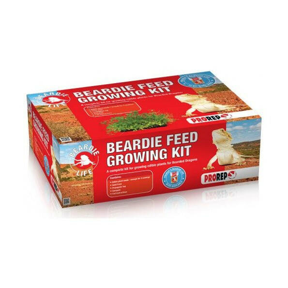 ProRep Beardie Feed Growing Kit - Charterhouse Aquatics