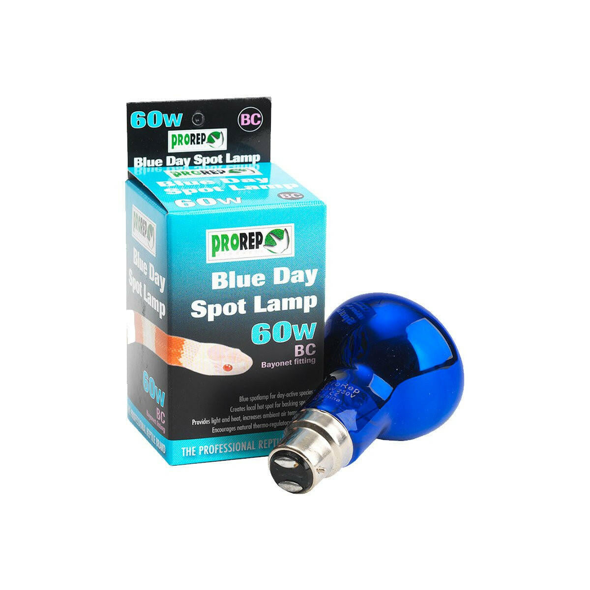 ProRep Blue Day Spot Bulb 100W BC (Bayonet) - Charterhouse Aquatics