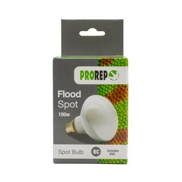 ProRep Flood Lamp 100w BC (Bayonet) - Charterhouse Aquatics