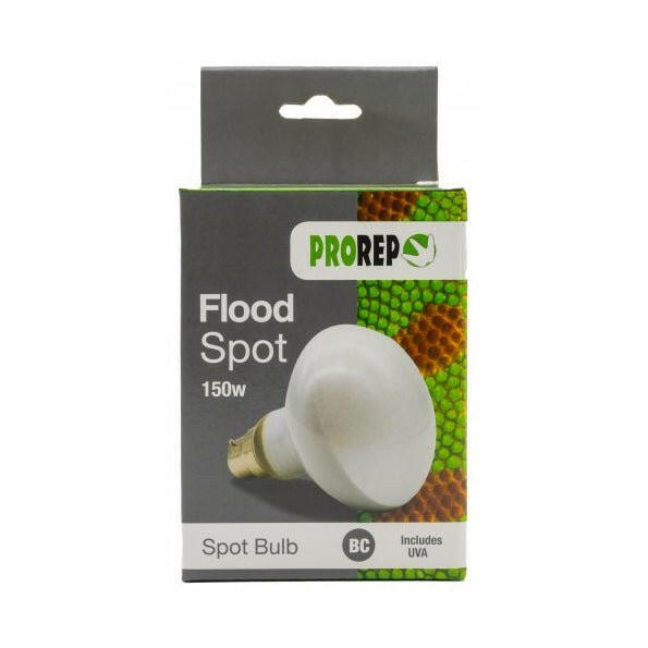 ProRep Flood Lamp 150w BC (Bayonet) - Charterhouse Aquatics