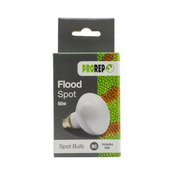 ProRep Flood Lamp 60w BC (Bayonet) - Charterhouse Aquatics