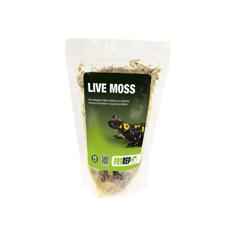 ProRep Live Moss Small Bag (approx 1.5L) - Charterhouse Aquatics