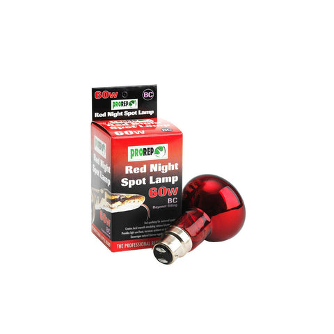 ProRep Red Night Spotlamp 60w - BC (Bayonet) - Charterhouse Aquatics