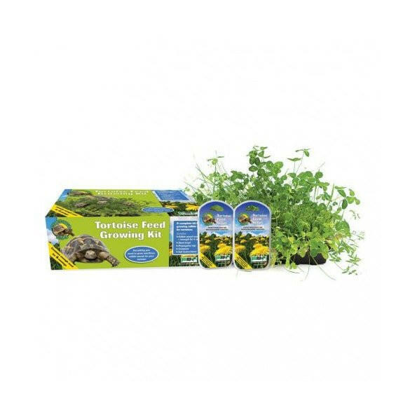 ProRep Tortoise Feed Growing Kit - Charterhouse Aquatics