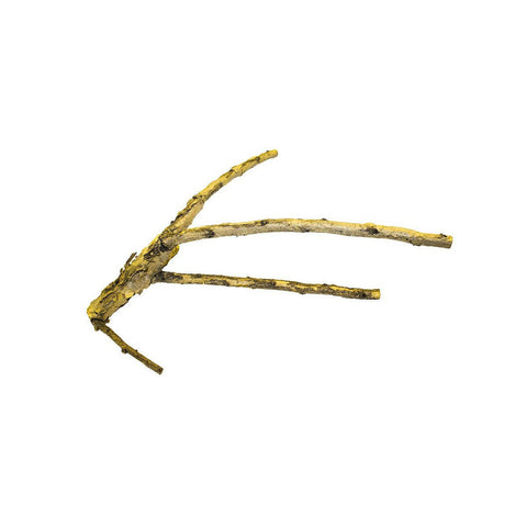 ProRep White Acacia Branch Large - Charterhouse Aquatics