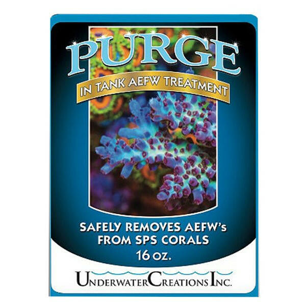 Purge Liquid 16oz - Charterhouse Aquatics