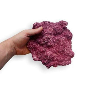 Real Reef Rock Nano Shelf - Charterhouse Aquatics