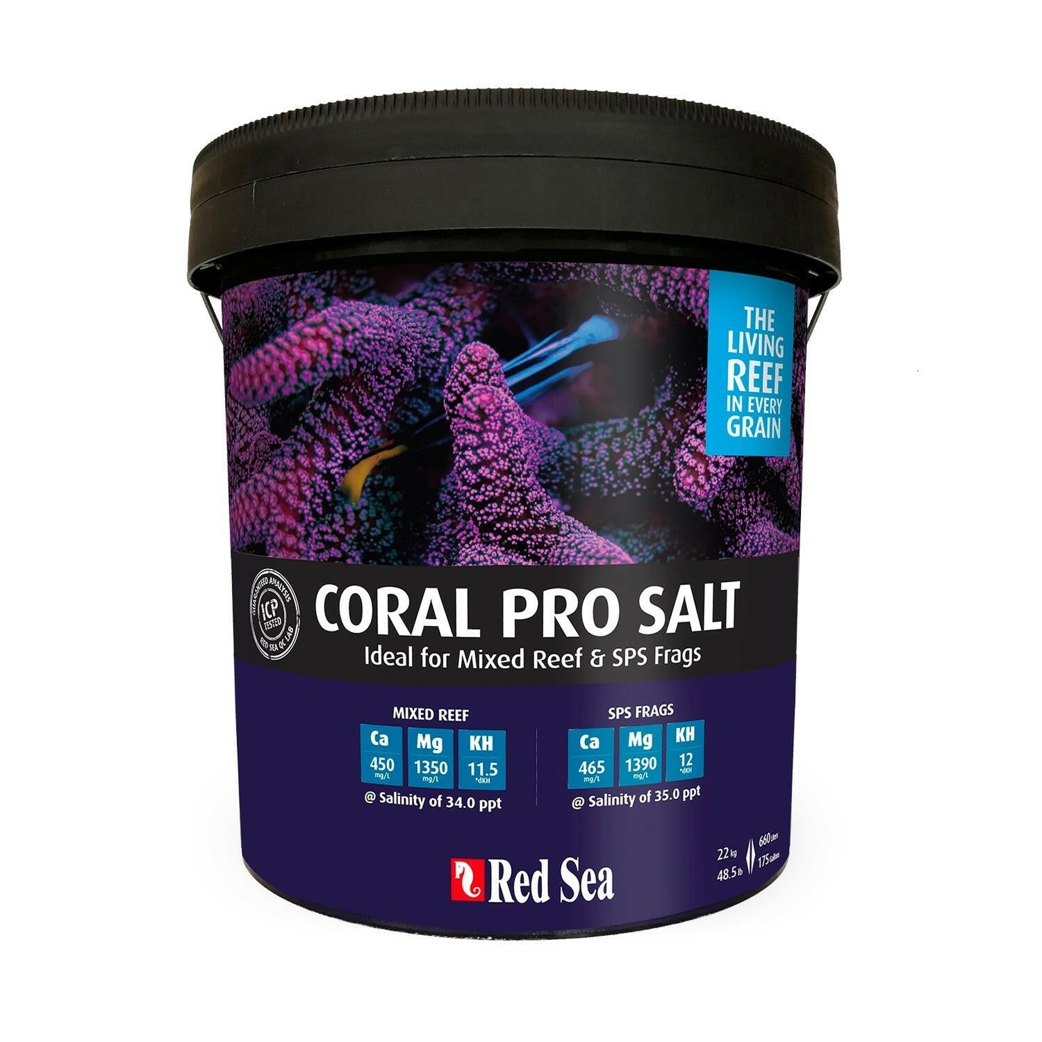 Red Sea Coral Pro Salt – Reef Marine Salt Mix | Charterhouse Aquatics