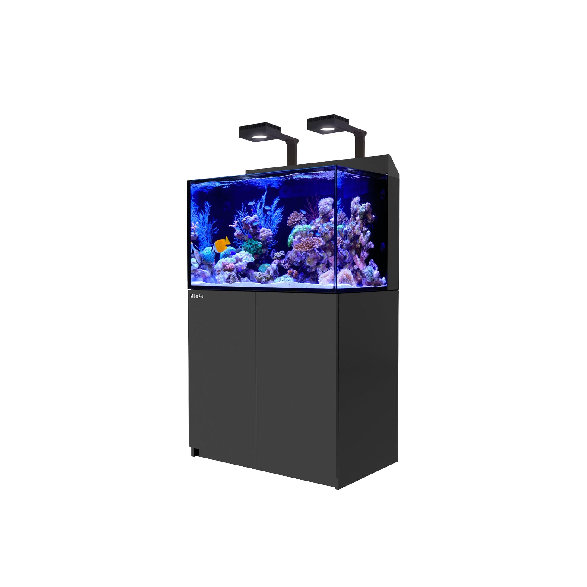 Red Sea Max E-Series 260 LED - Black - Charterhouse Aquatics