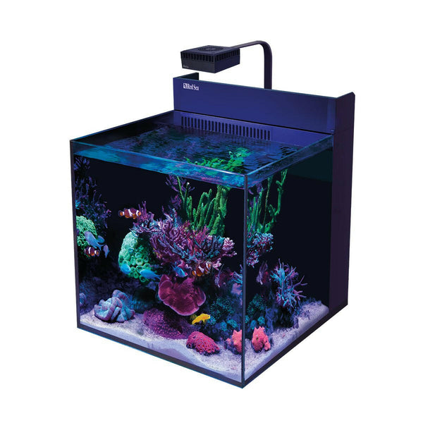 Red Sea Max Nano G2 XL Aquarium – Charterhouse Aquatics