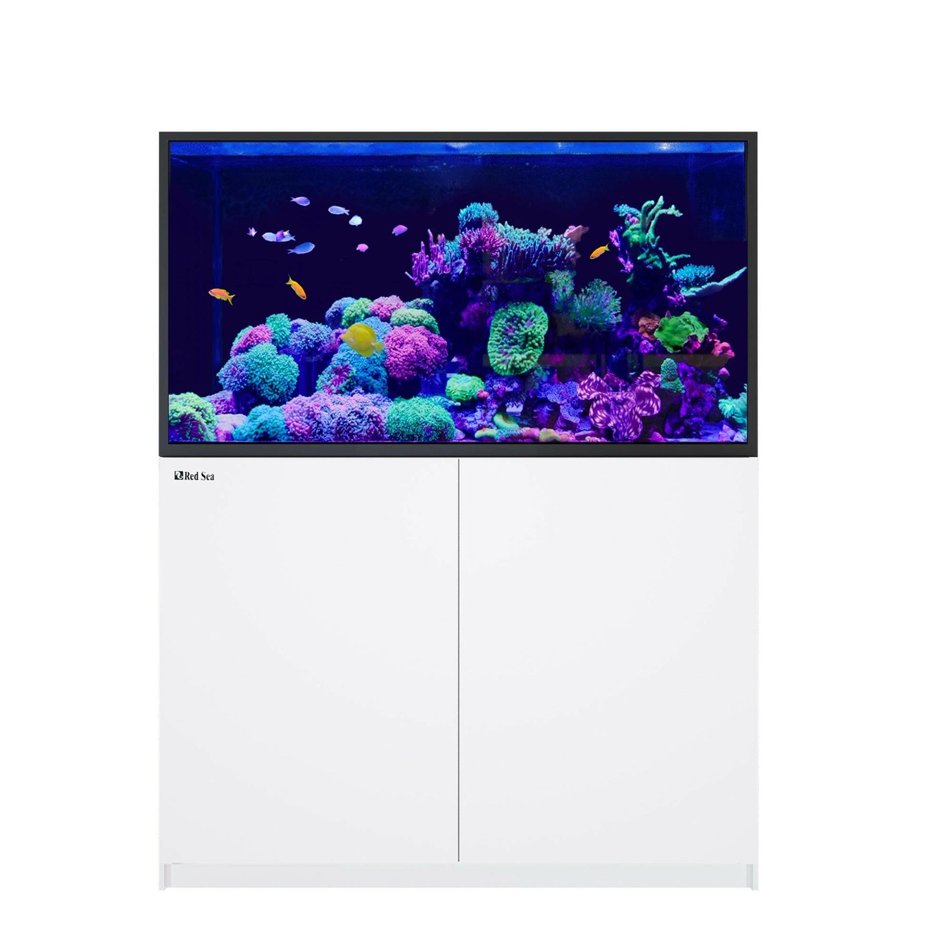 Red Sea Reefer G2+ S-550 Aquarium (Black) - Charterhouse Aquatics