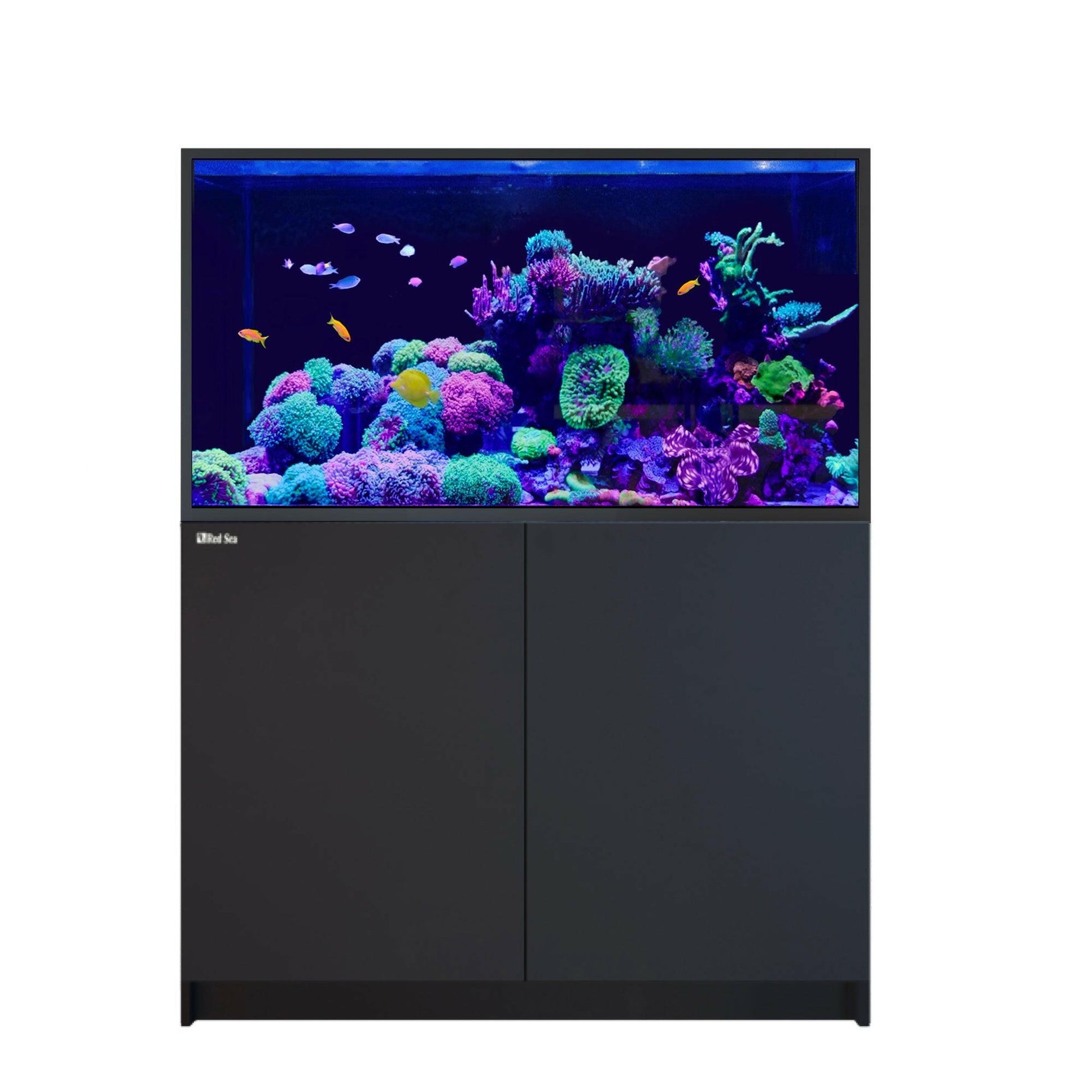 Red Sea Reefer G2+ S-550 Deluxe Aquarium (Black) - Charterhouse Aquatics