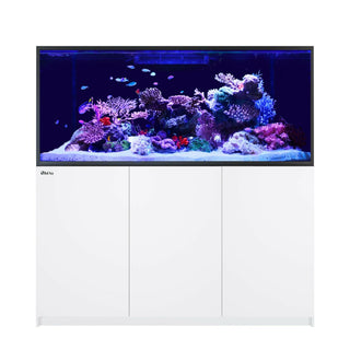Red Sea Reefer G2+ S-700 Aquarium (Black) - Charterhouse Aquatics