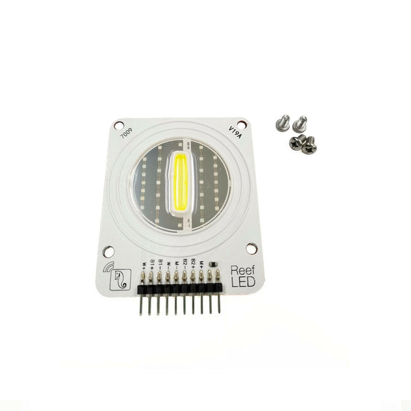 Red Sea ReefLed 50 LED Array (R35163) - Charterhouse Aquatics