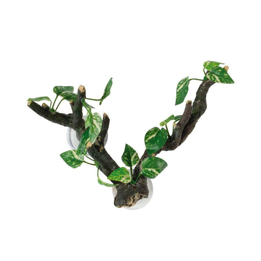 RepStyle Branch with Flora Sucker Mount 25cm - Charterhouse Aquatics