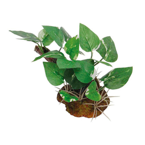 RepStyle Plant with Rock Base A - Charterhouse Aquatics