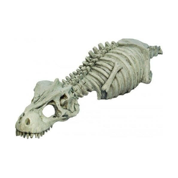 RepStyle Skeleton Dinosaur - Charterhouse Aquatics