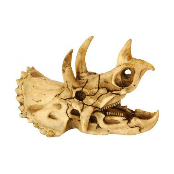 RepStyle Skull Dinosaur - Charterhouse Aquatics